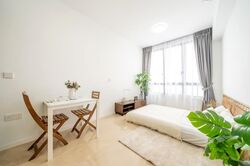 Irwell Hill Residences (D9), Apartment #529599621